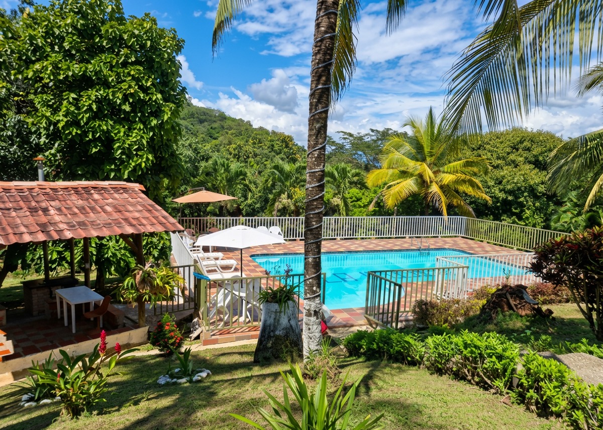 Vista panorámica de la piscina y zona verde