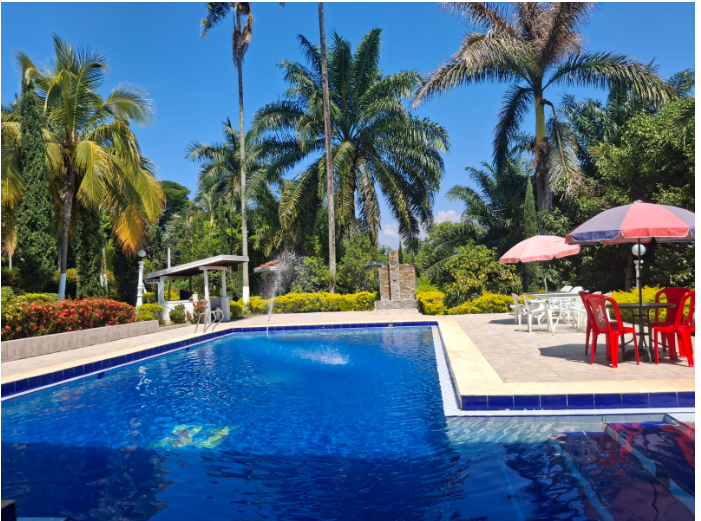Piscina con zona de sombrillas y sillas
