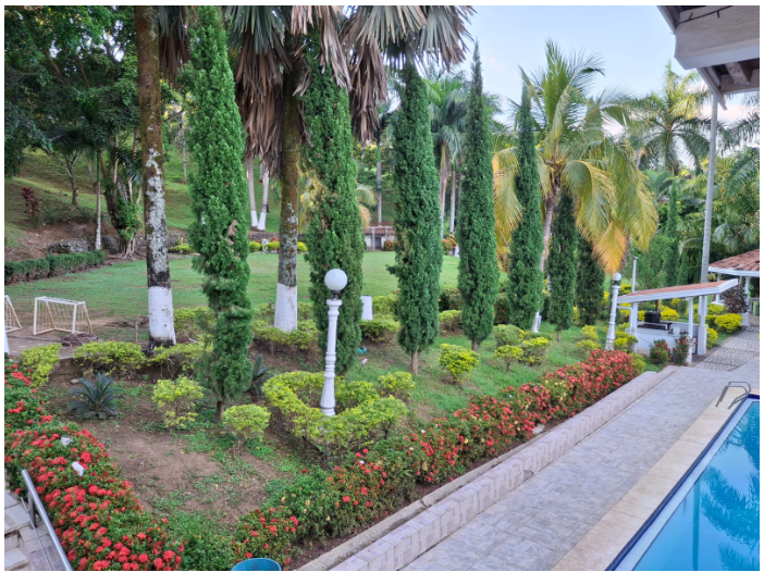 Zona verde con jardines y cancha